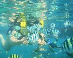 homestay pulau pari-firzitravel.com (10)