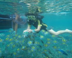 pulau pari-firzitravel.com (17)